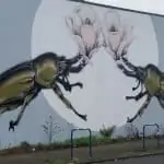Beetle mural by Thomas Jackson 2016
