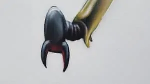 Beetle mural by Thomas Jackson 2016 - detail