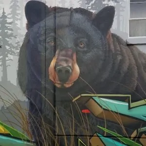 grizzly bear mural at sunshine dairy portland