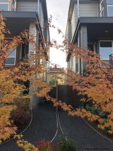 two buildings close together with fall leaves in front