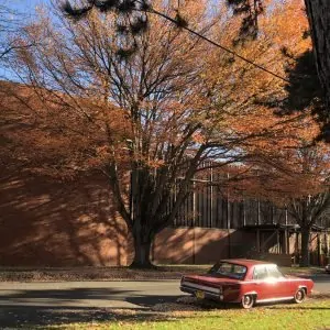 vintage red car under fall tree