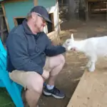 man petting goat