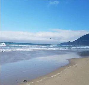 oregon coast on a bluebird sunny day